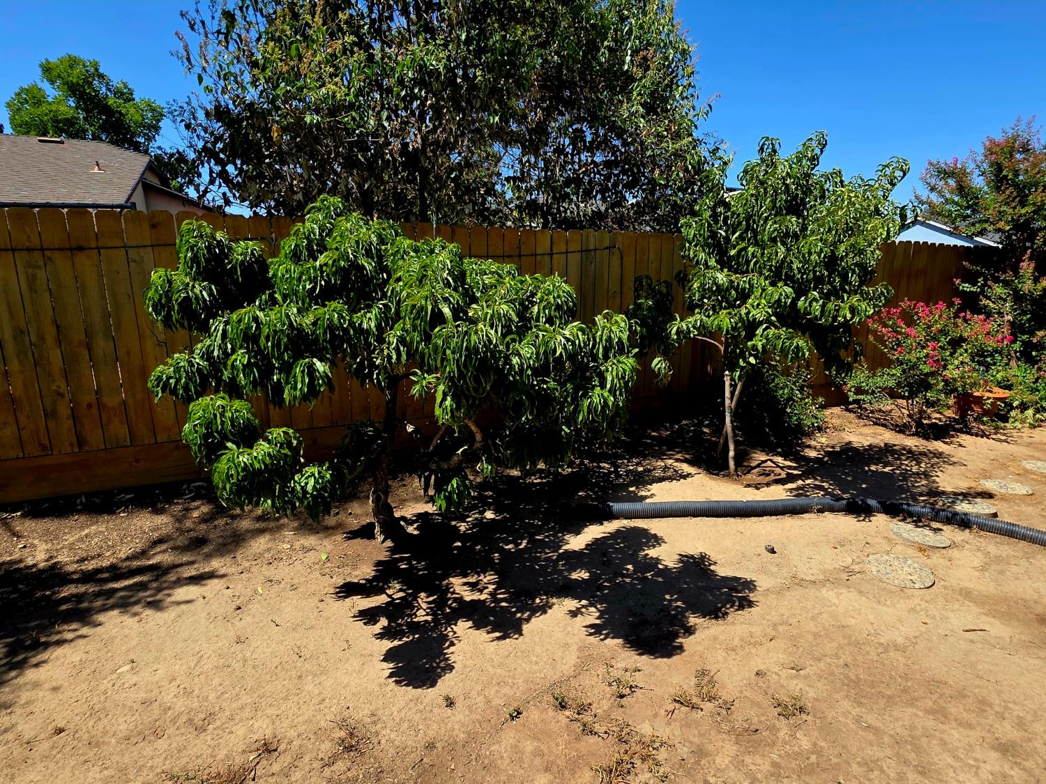 2214 Holt Ave, Sanger, CA 93657