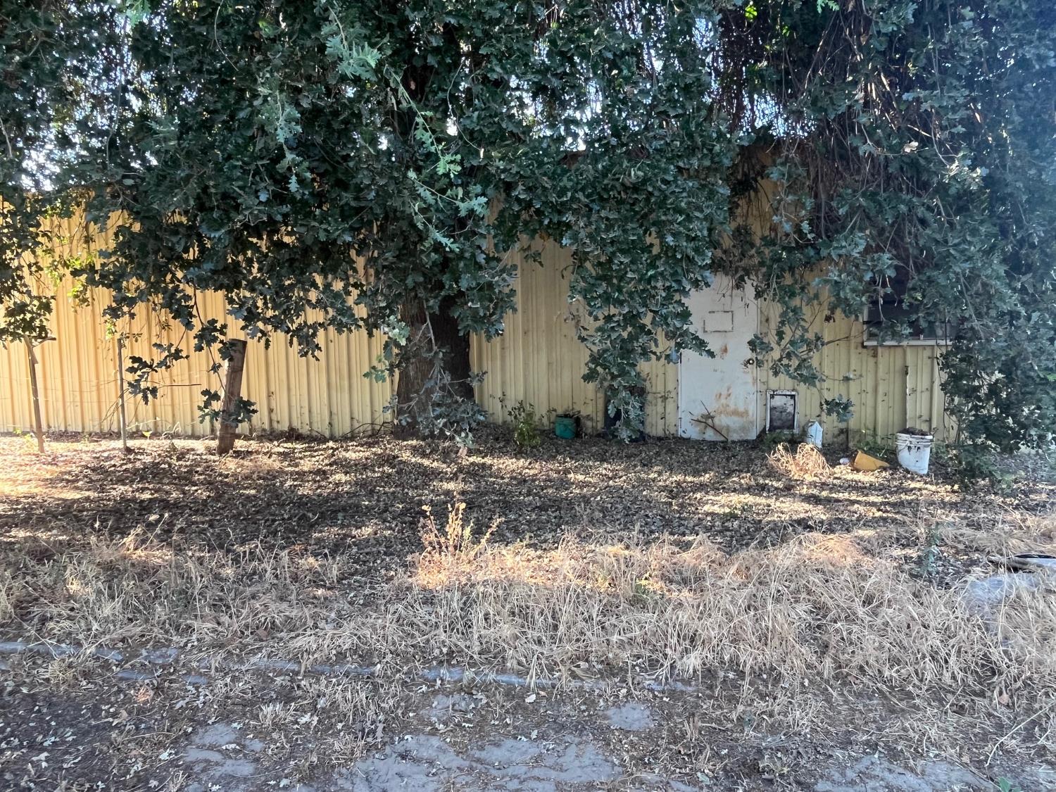 11597 S Academy Ave, Selma, CA 93662