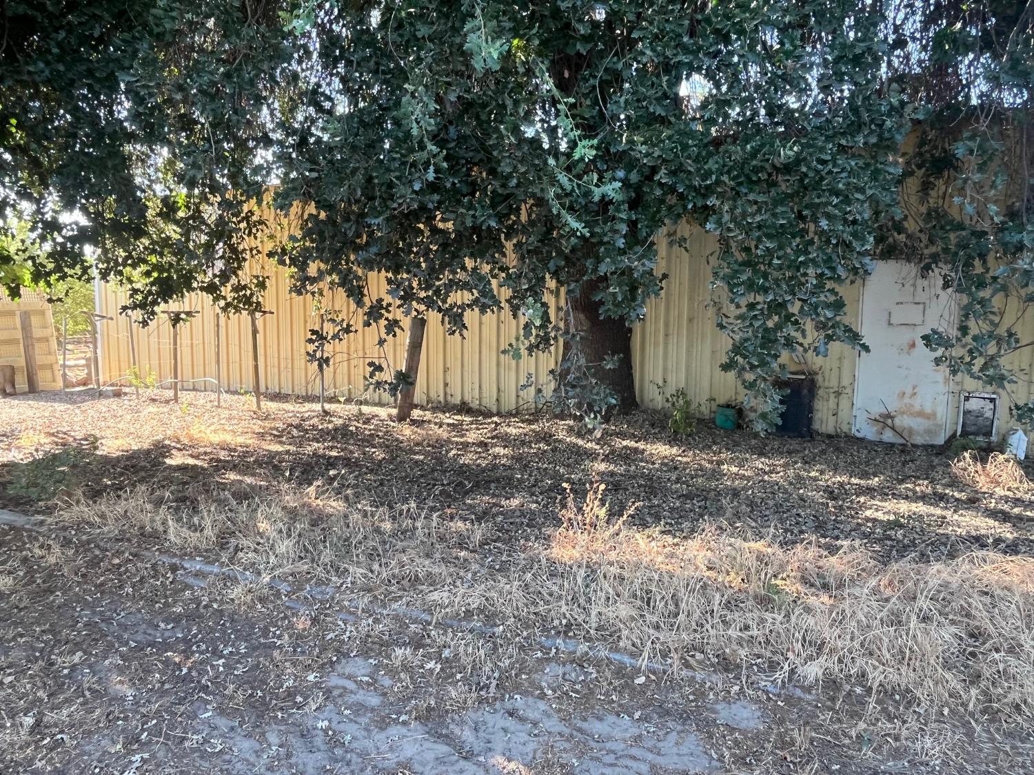 11597 S Academy Ave, Selma, CA 93662