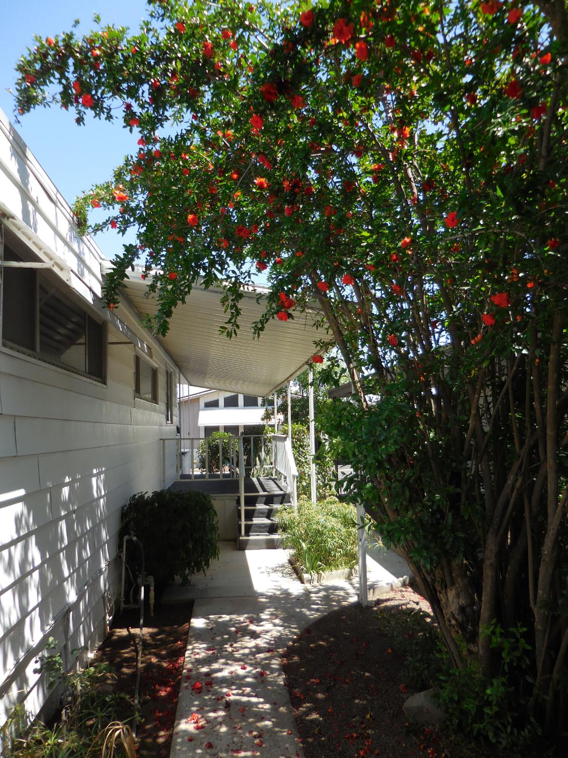 221 W Herndon Ave #49, Pinedale, CA 93650