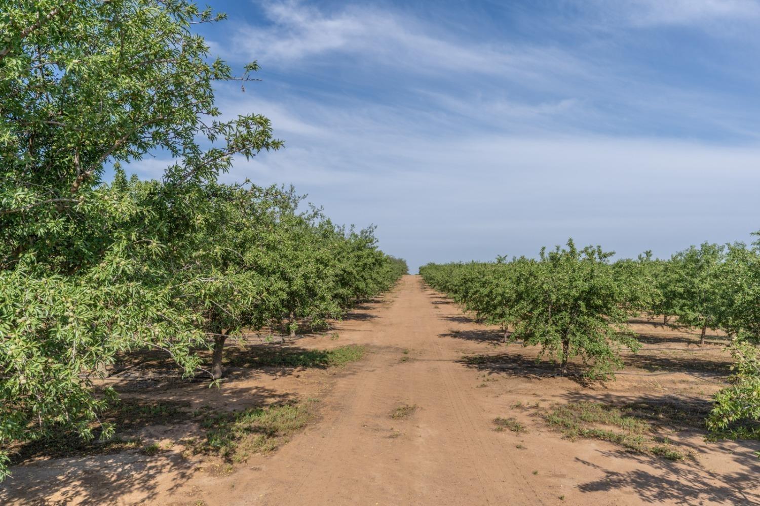 14155 Buchanan Hollow, Le Grand, CA 95333