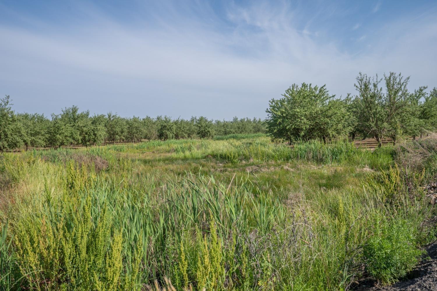 14155 Buchanan Hollow, Le Grand, CA 95333