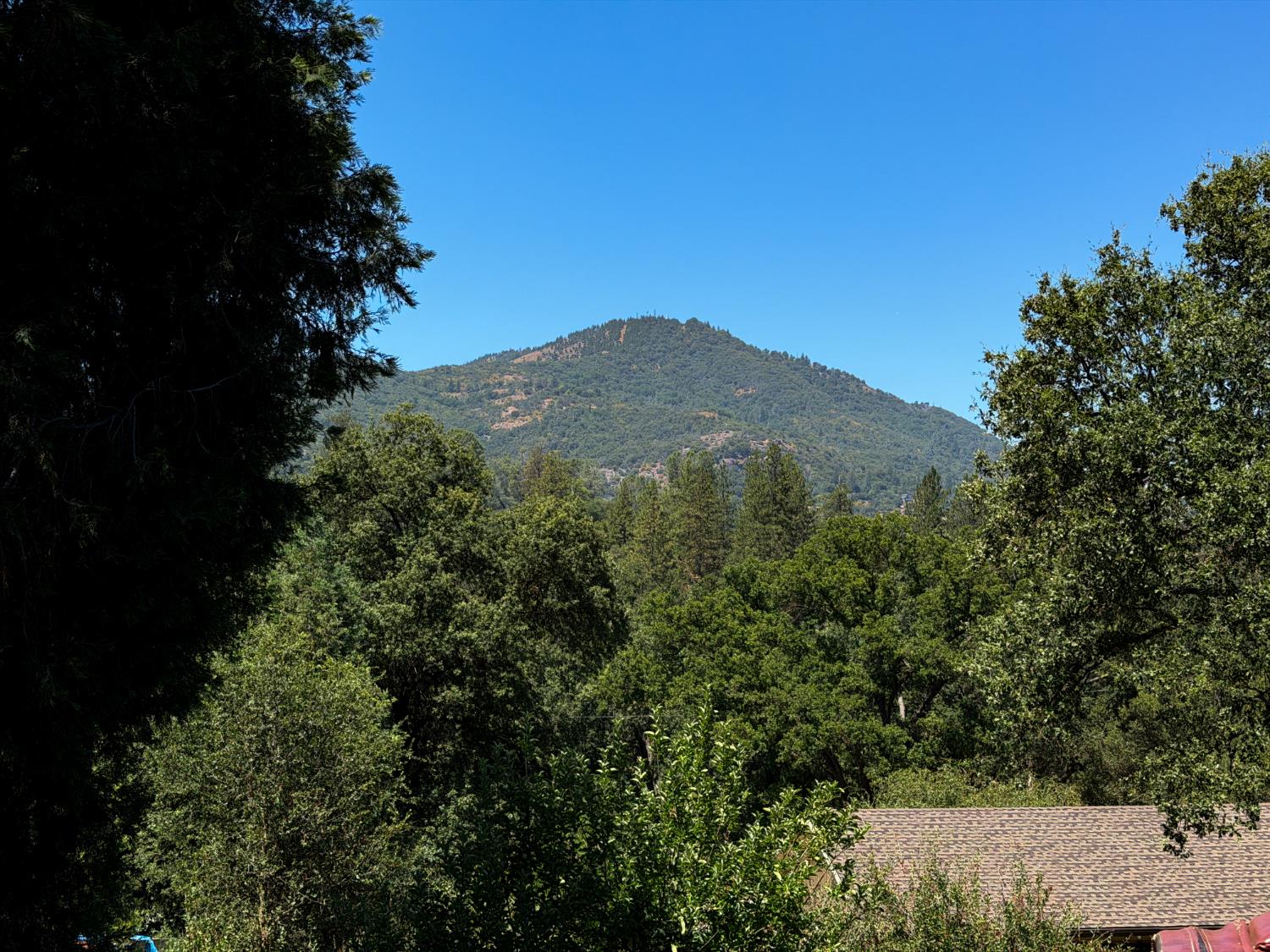 39597 Evergreen Dr, Oakhurst, CA 93644