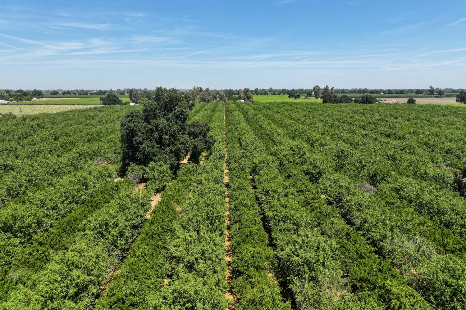 9415 21 1/2 Ave, Lemoore, CA 93245