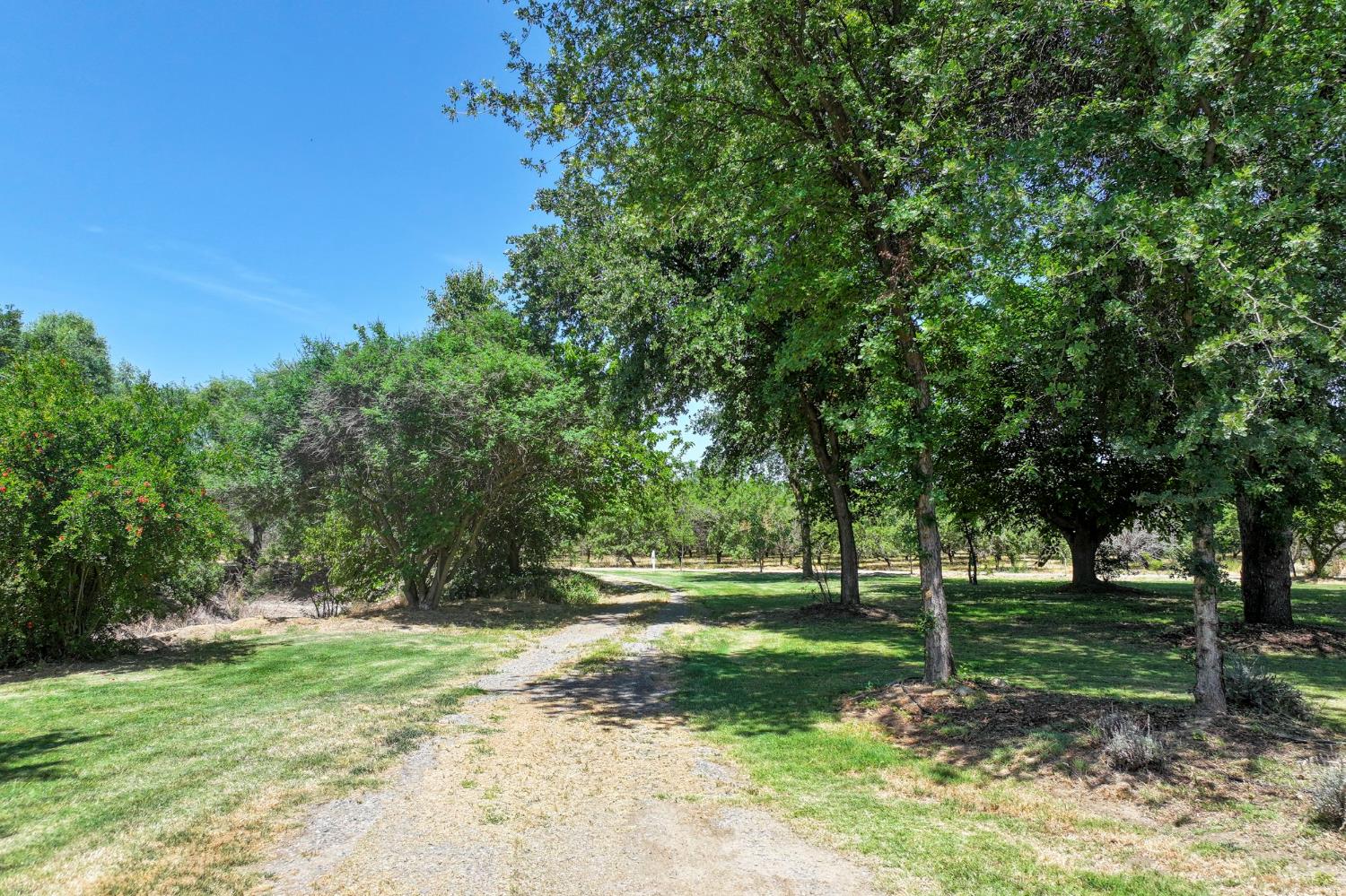 9415 21 1/2 Ave, Lemoore, CA 93245