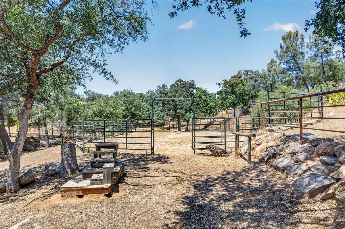 45894 Farmstead Rd, Coarsegold, CA 93614