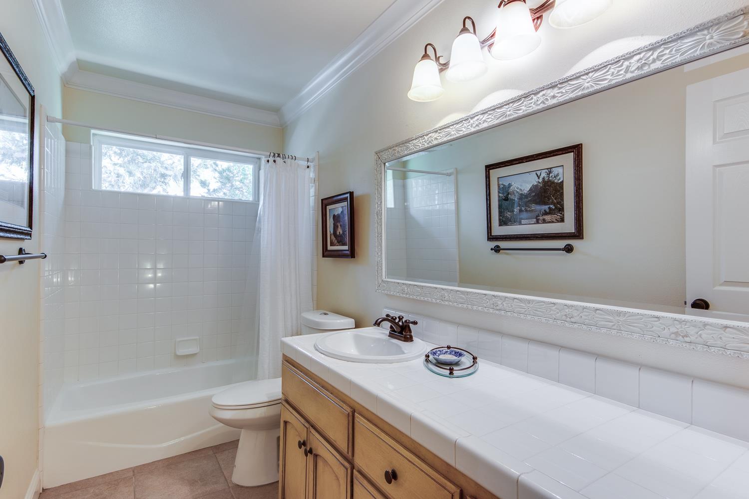 53885 Dogwood Creek Dr, Bass Lake, CA 93604