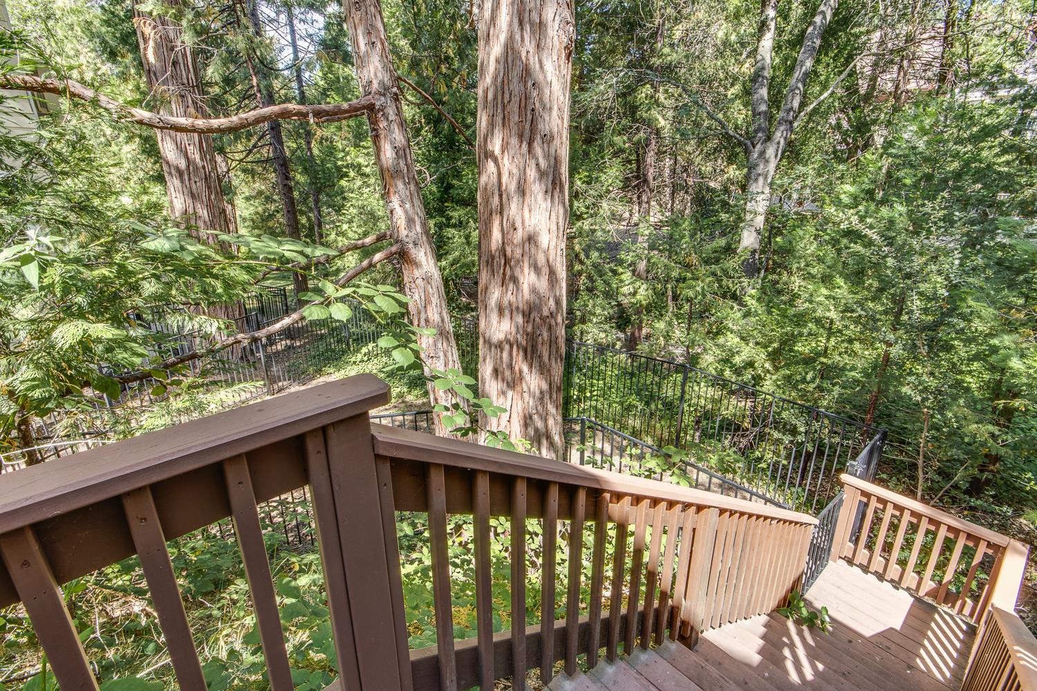 53885 Dogwood Creek Dr, Bass Lake, CA 93604