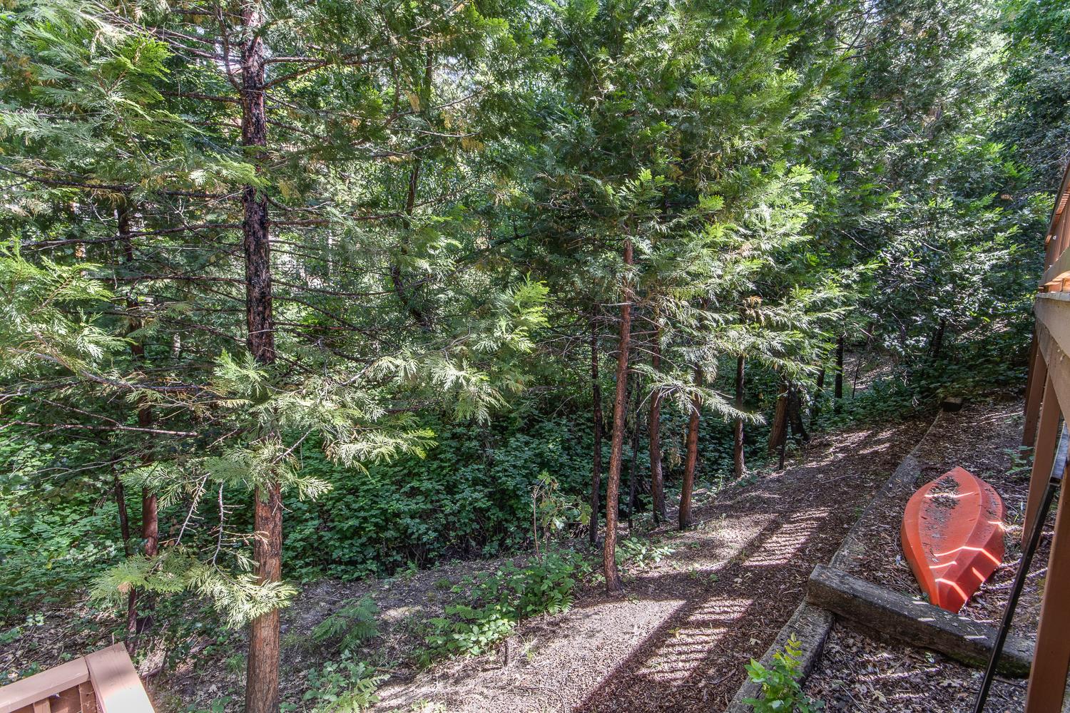 53885 Dogwood Creek Dr, Bass Lake, CA 93604