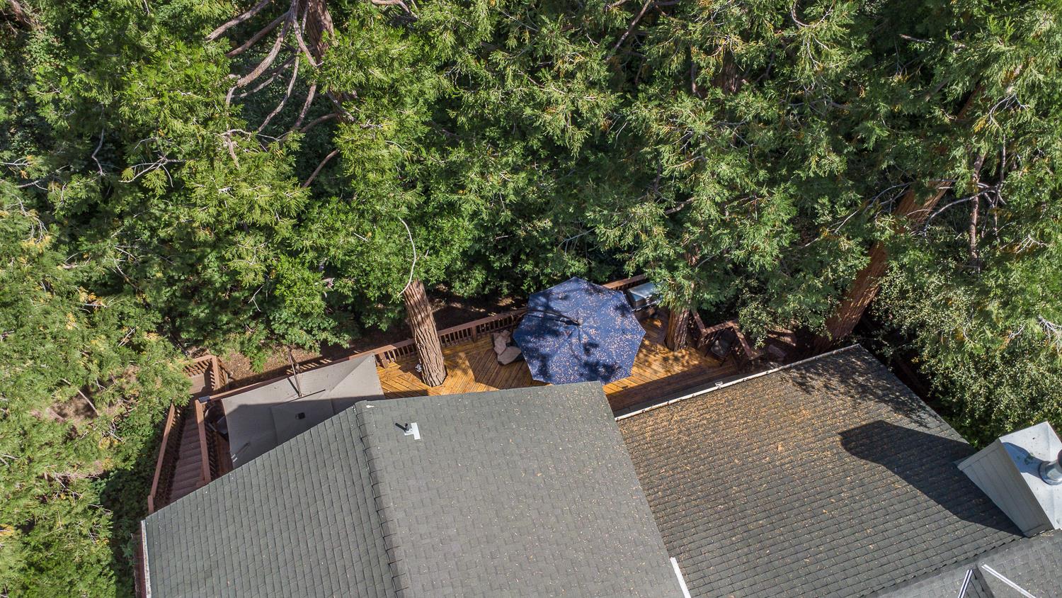 53885 Dogwood Creek Dr, Bass Lake, CA 93604