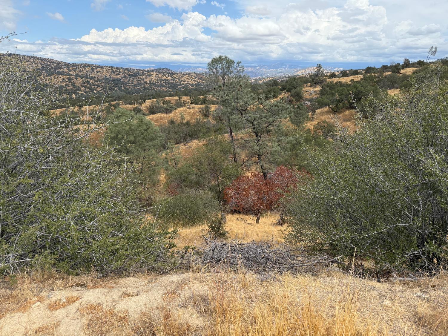 1572 Lot # Lilley Mountain Dr, Coarsegold, CA 93614
