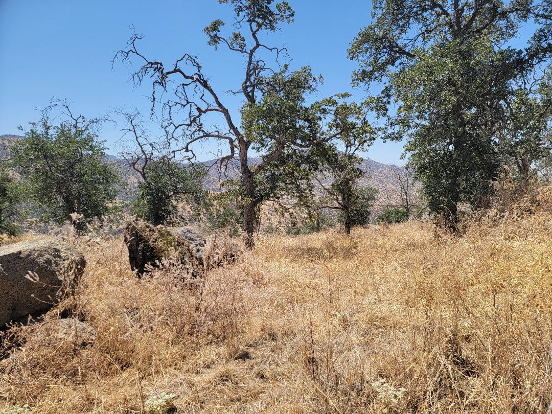 0 Lot 369 Arrowhead Lane, Yokuts Valley, CA 93675