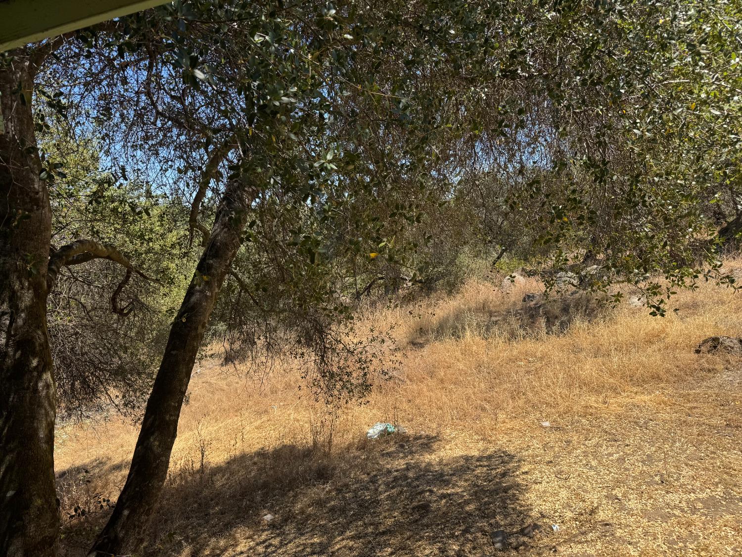 31360 Road 416, Coarsegold, CA 93614