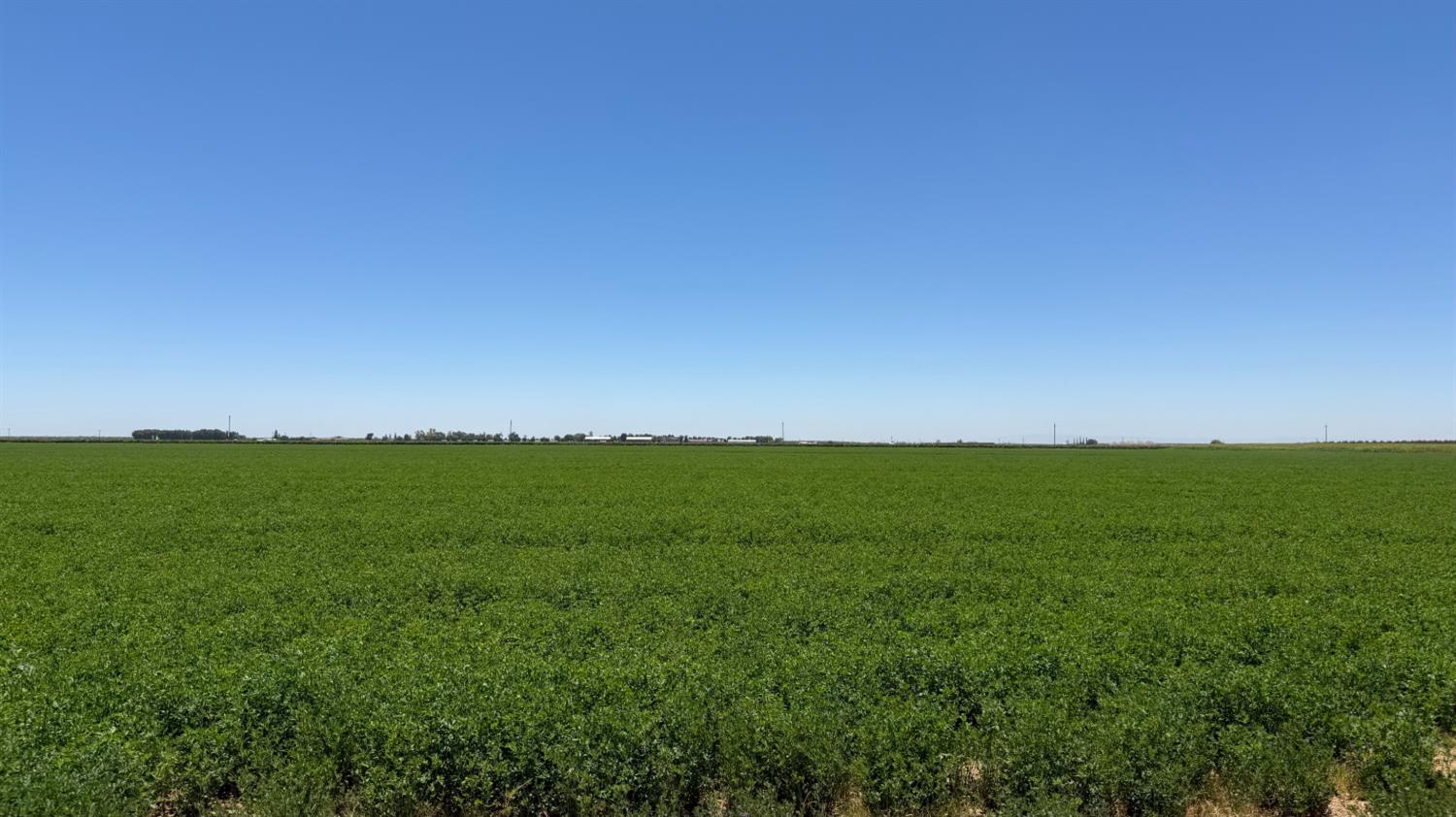 100 American, Kerman, CA 93630
