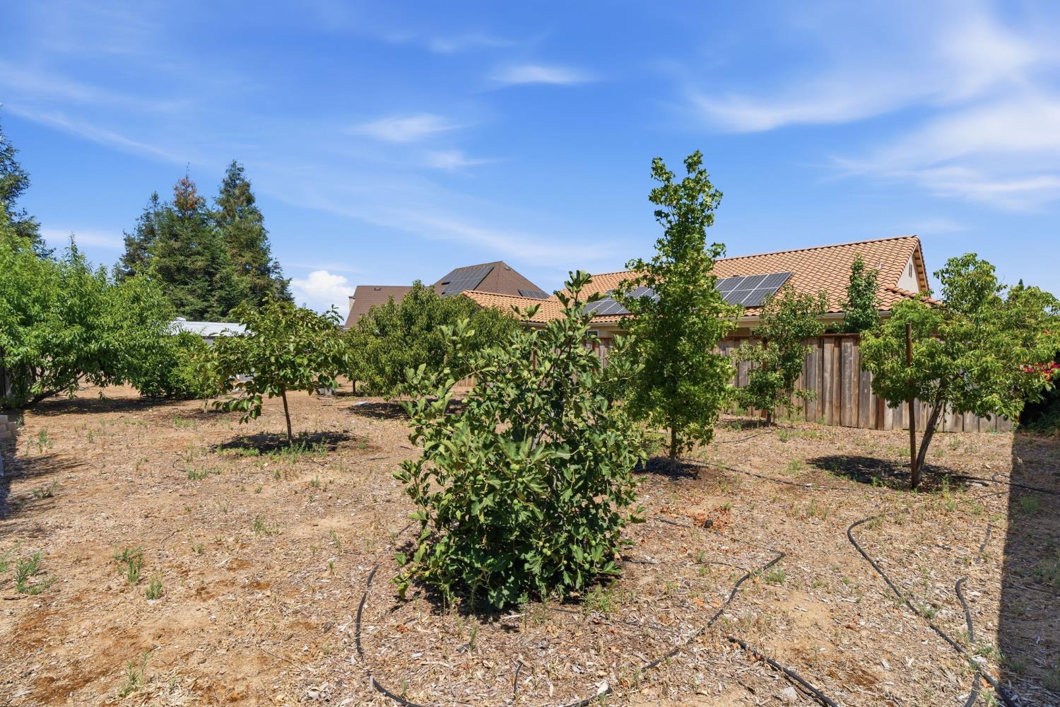 2038 Austin Ave, Clovis, CA 93611