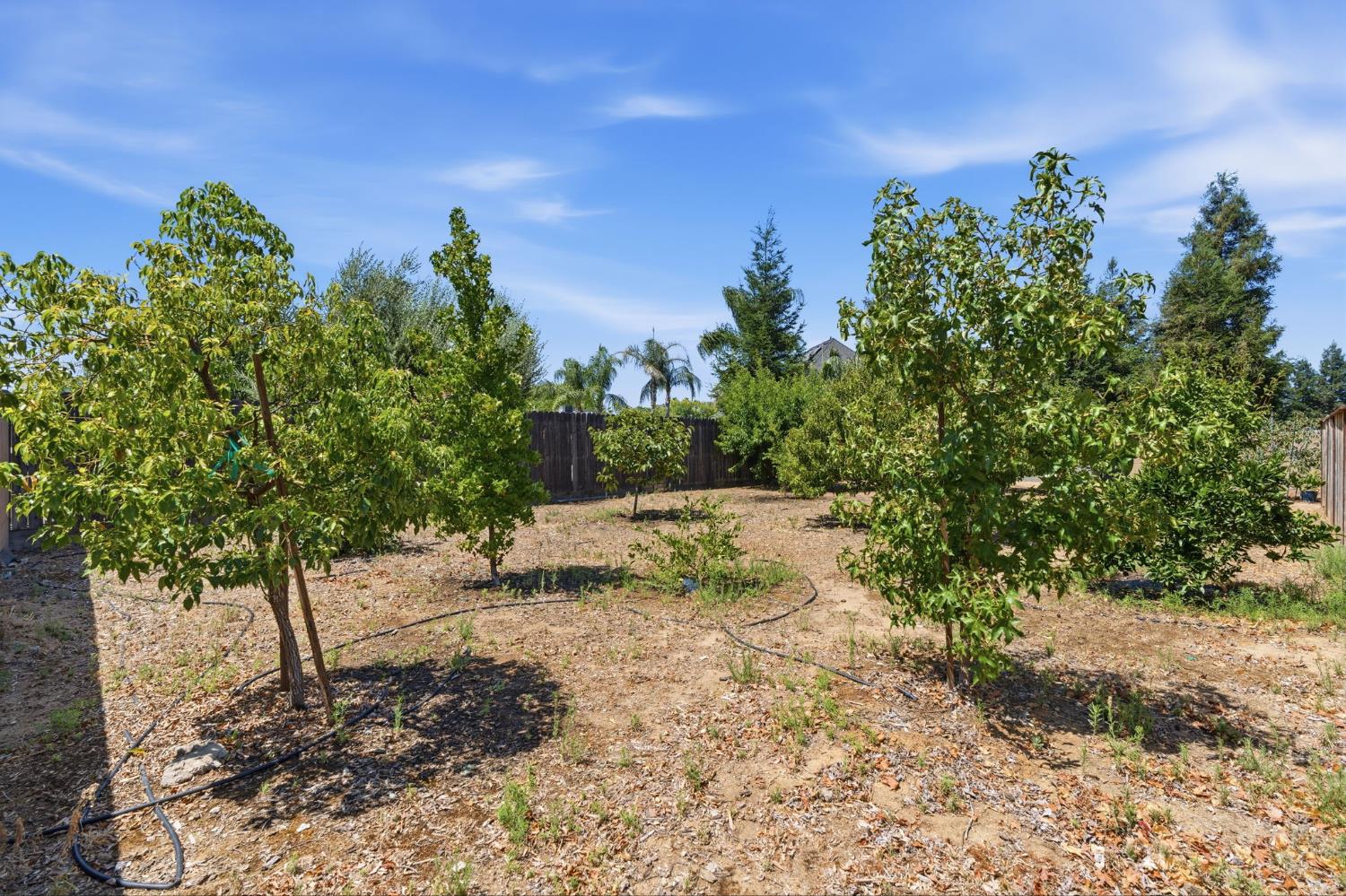 2038 Austin Ave, Clovis, CA 93611