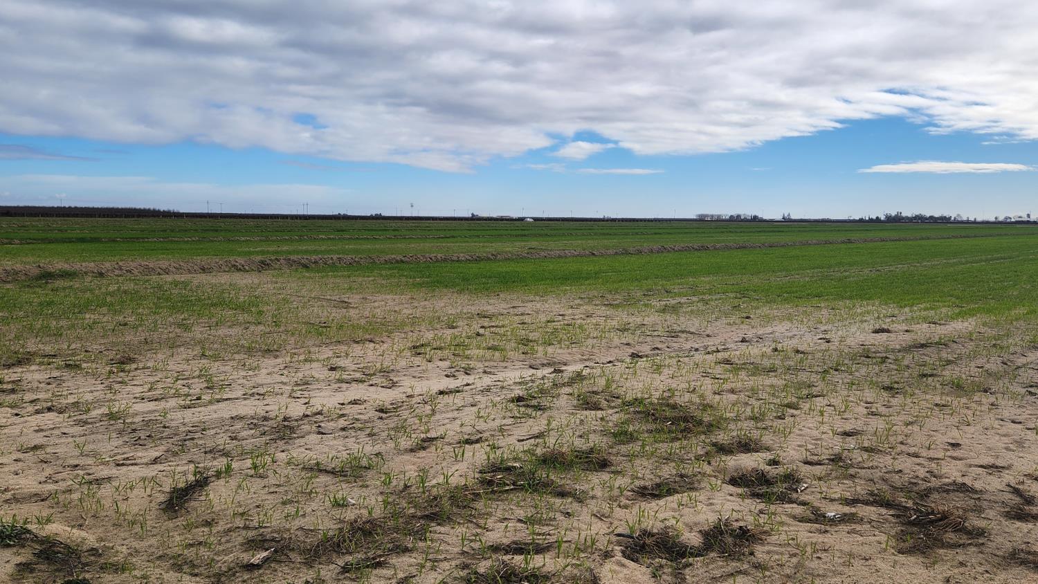 100 McMullin Grade, San Joaquin, CA 93660