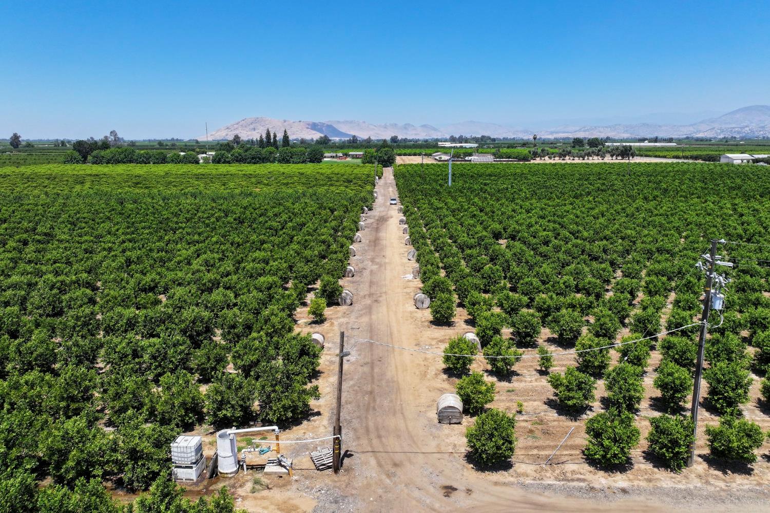 21868 E Manning Ave, Reedley, CA 93654