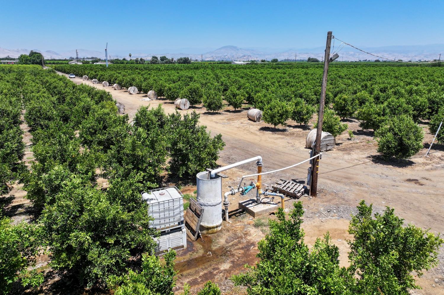 21868 E Manning Ave, Reedley, CA 93654