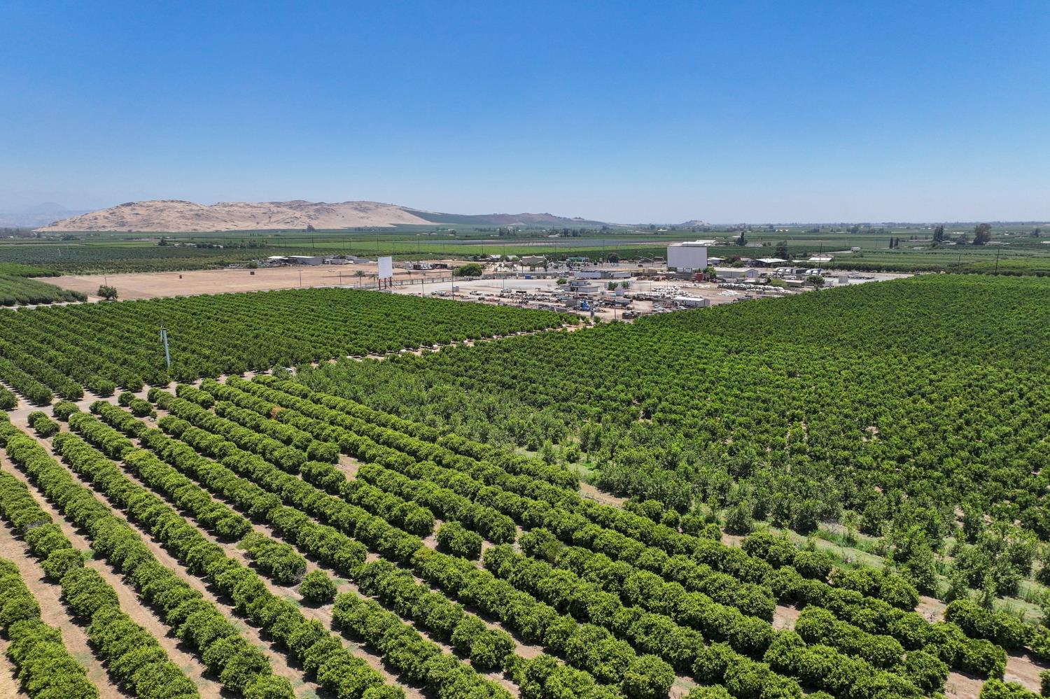 21868 E Manning Ave, Reedley, CA 93654