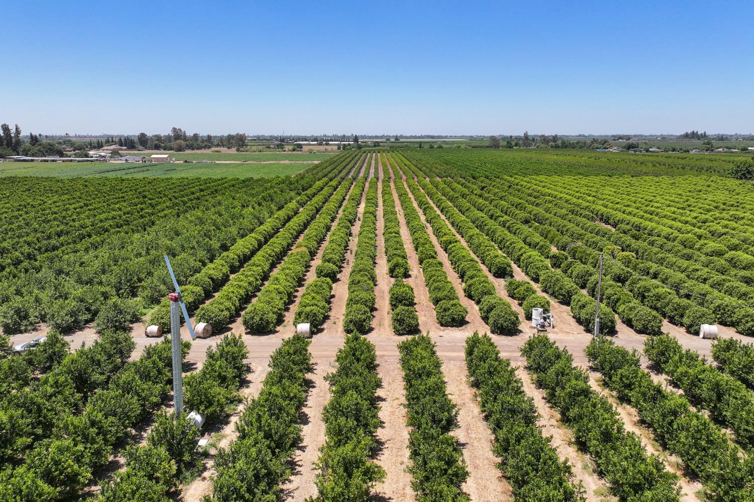 21868 E Manning Ave, Reedley, CA 93654