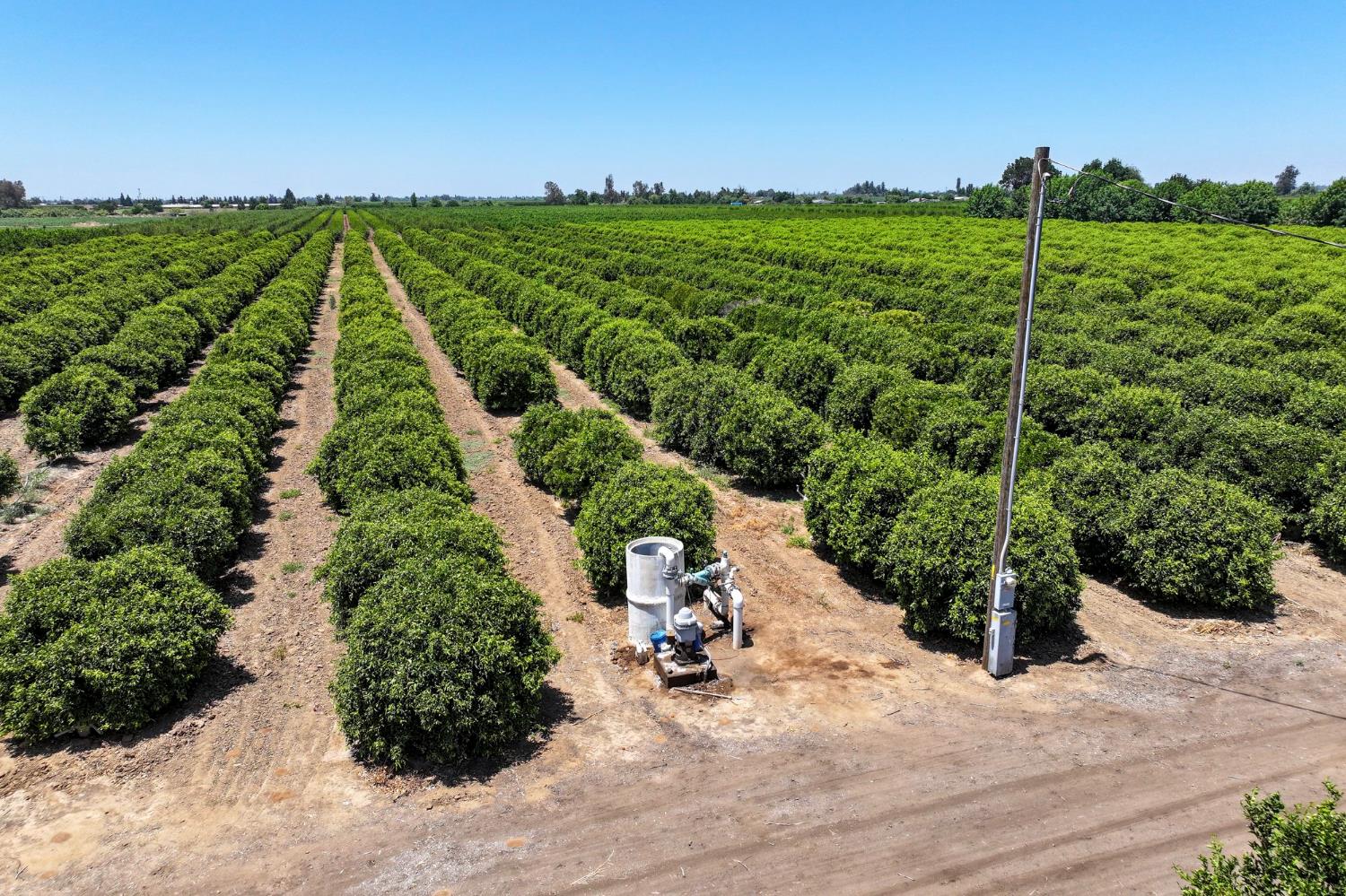 21868 E Manning Ave, Reedley, CA 93654