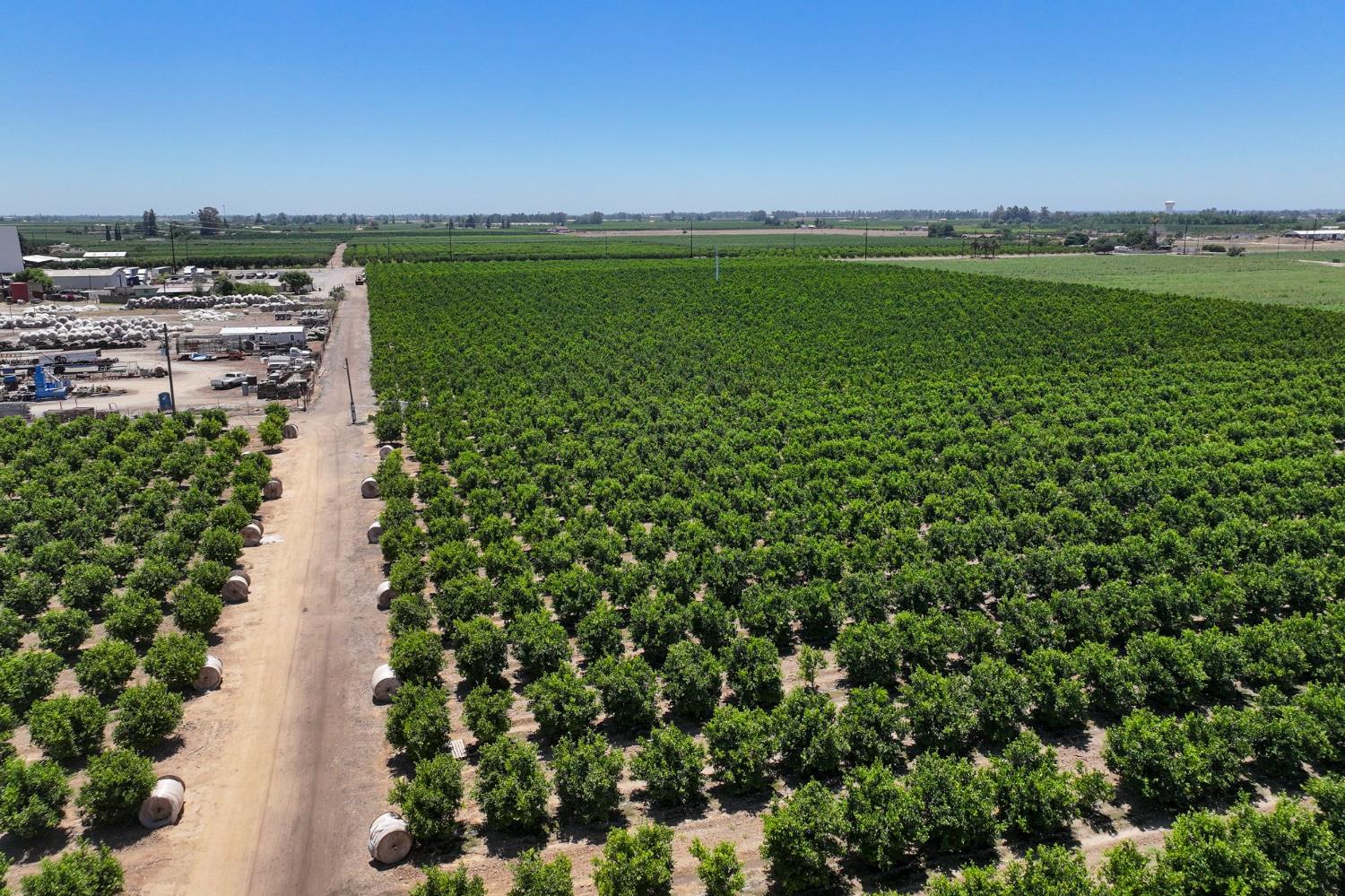 21868 E Manning Ave, Reedley, CA 93654
