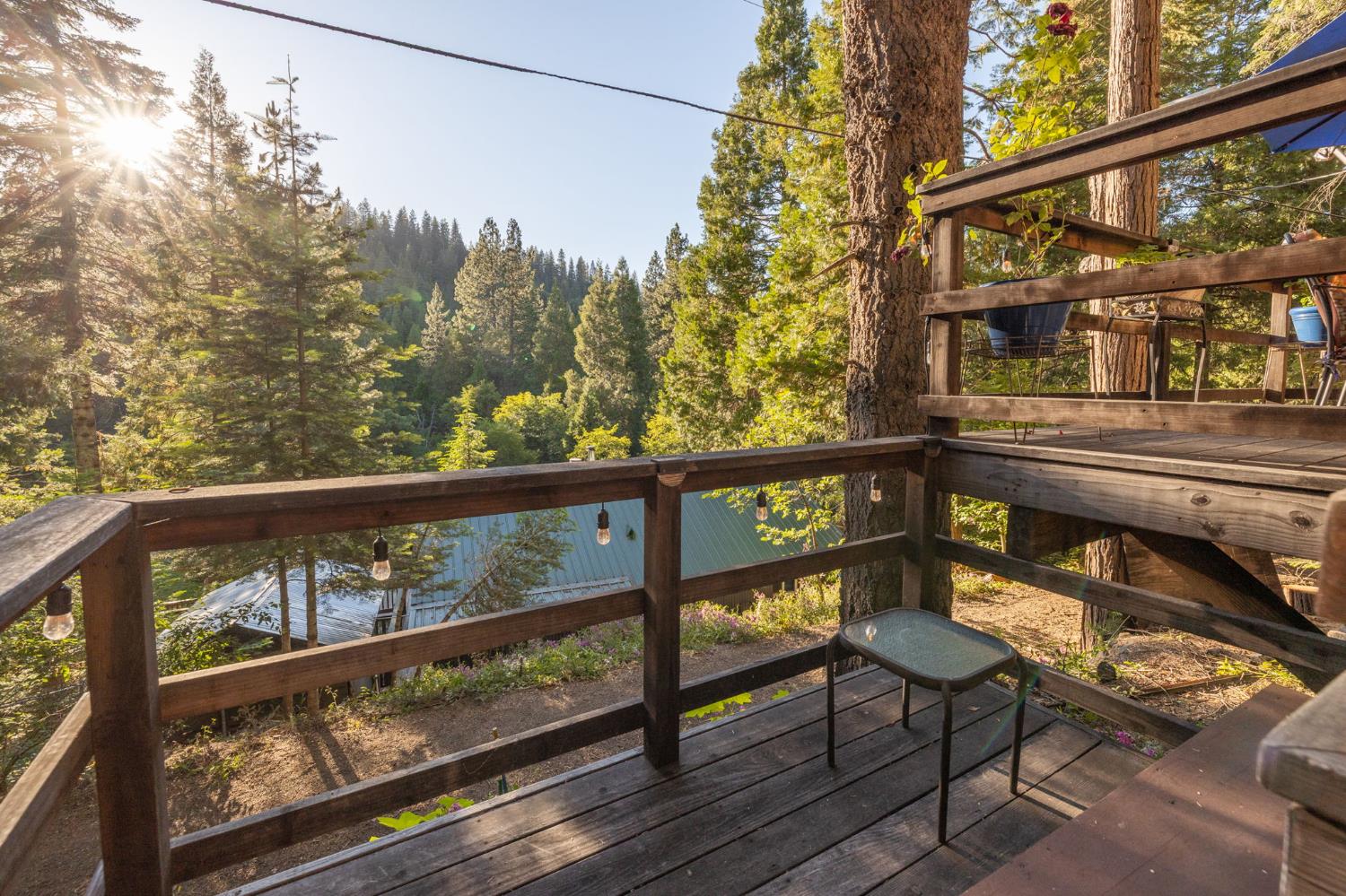 49988 Locust Rd, Oakhurst, CA 93644