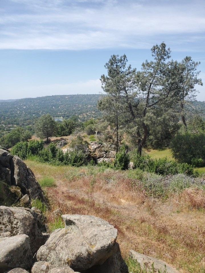 0 Lot 1952 Ranger Circle Dr, Coarsegold, CA 93614