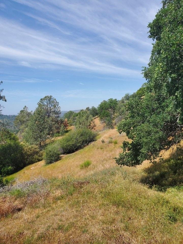 0 Lot 1952 Ranger Circle Dr, Coarsegold, CA 93614