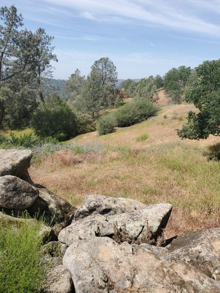 0 Lot 1952 Ranger Circle Dr, Coarsegold, CA 93614