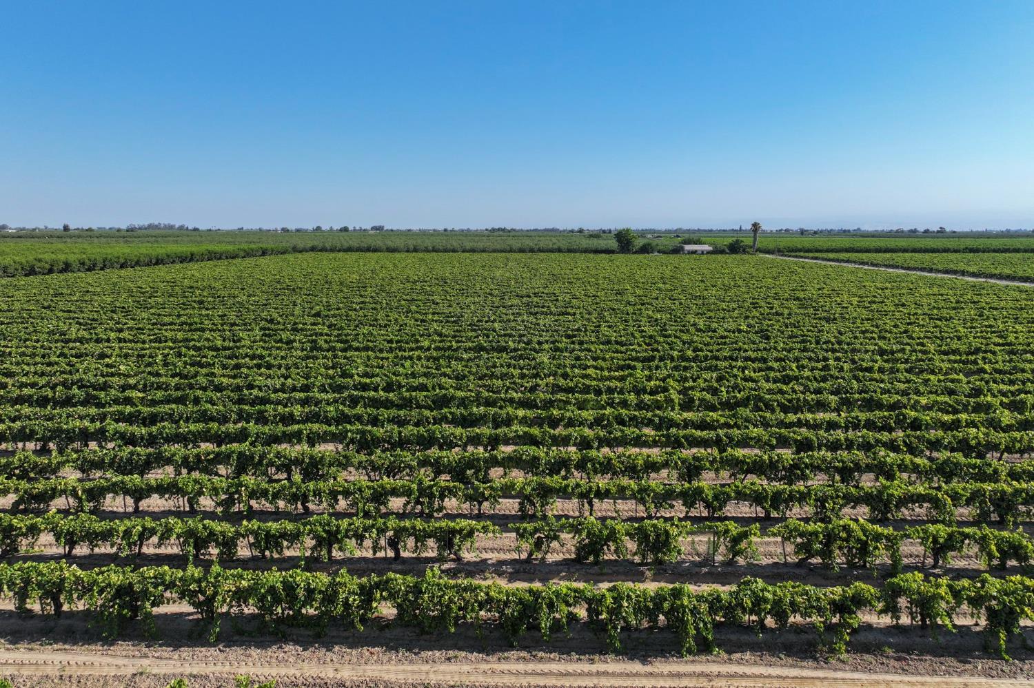 14491 S Thompson Ave, Selma, CA 93662