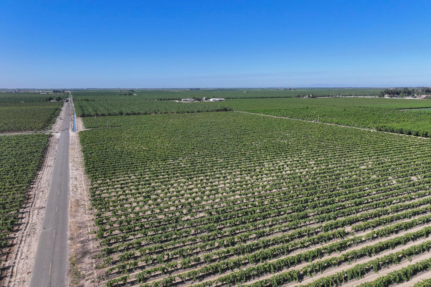 14491 S Thompson Ave, Selma, CA 93662