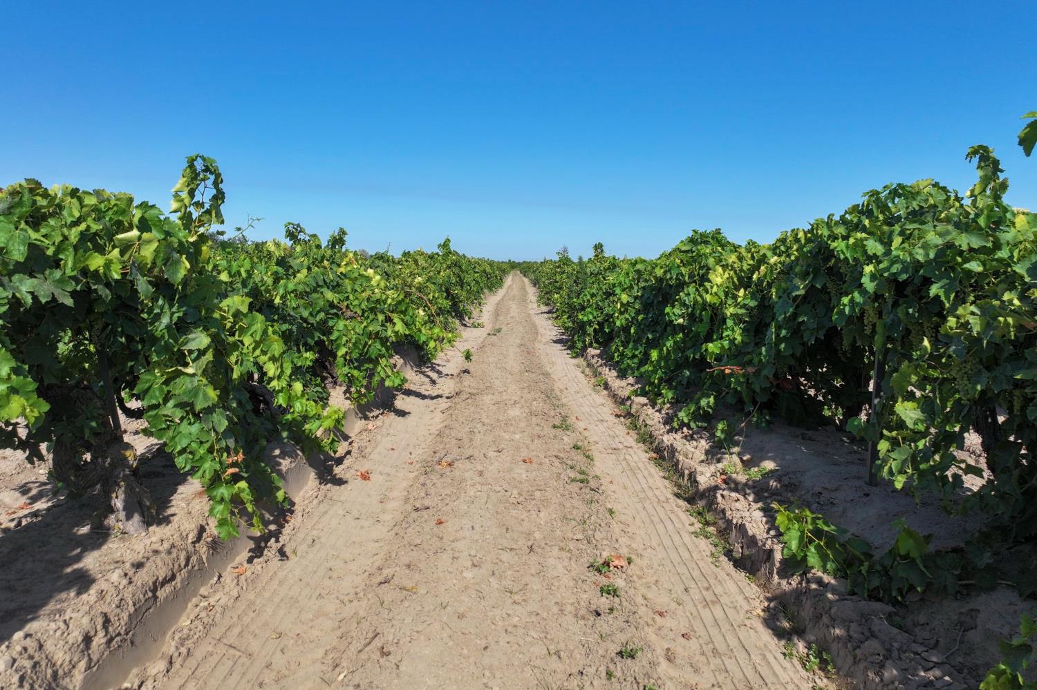 14491 S Thompson Ave, Selma, CA 93662