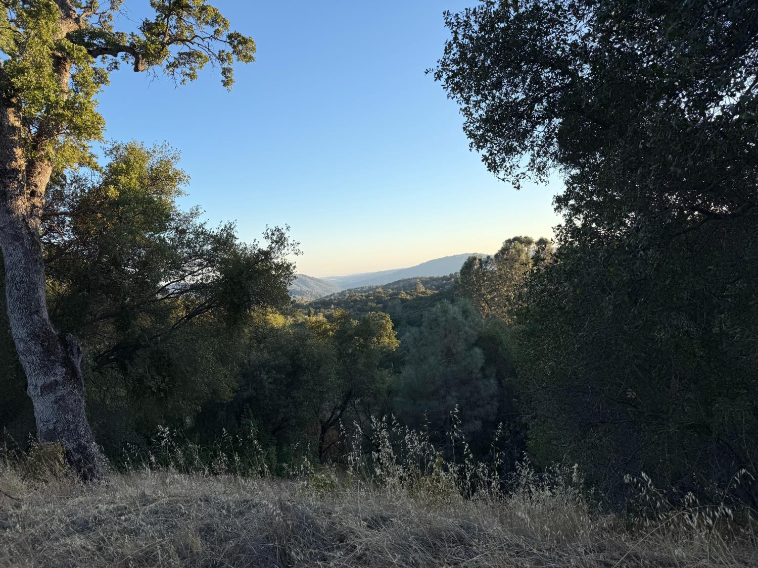 32289 Mountain Ln, North Fork, CA 93643