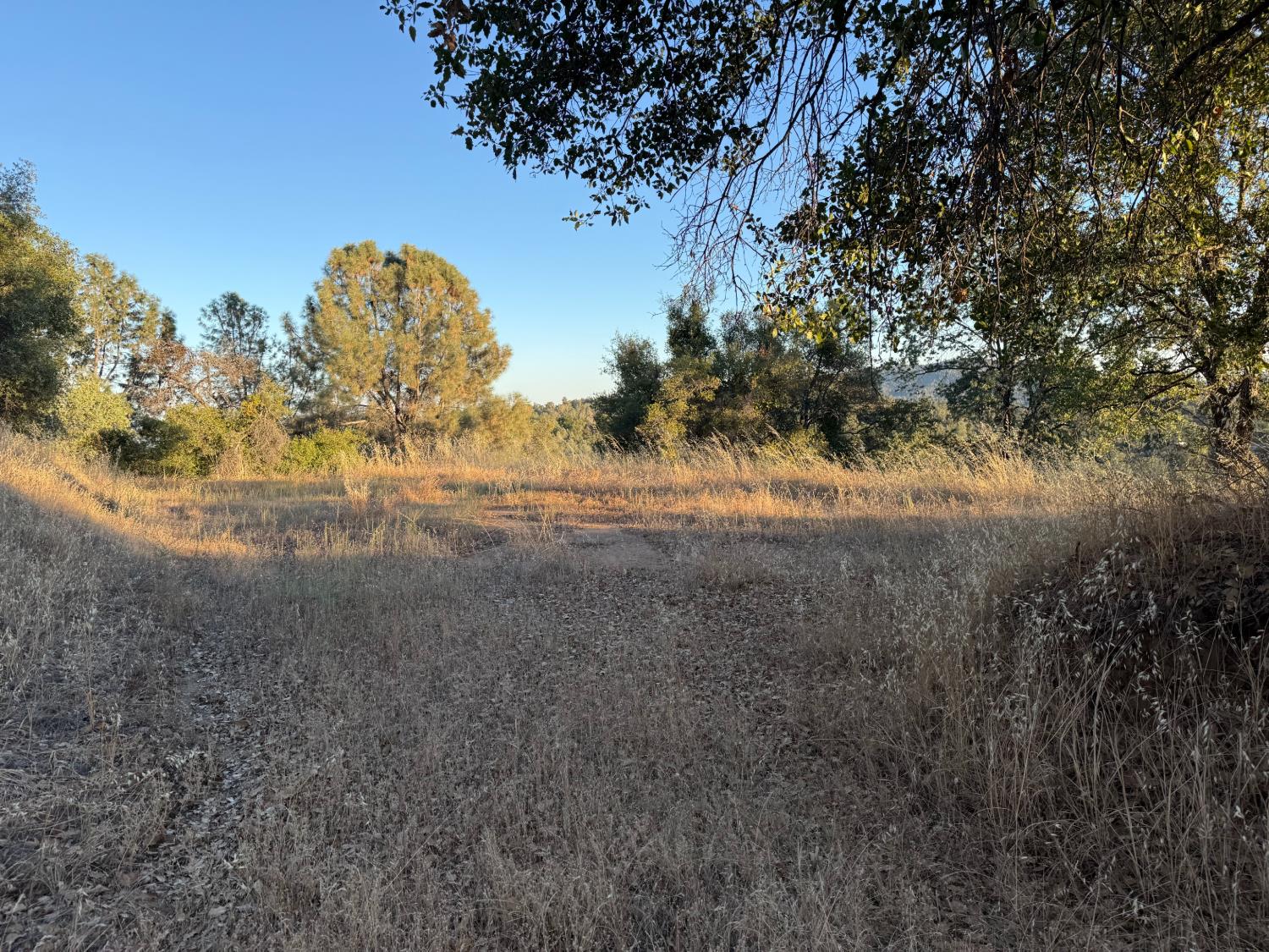 32289 Mountain Ln, North Fork, CA 93643