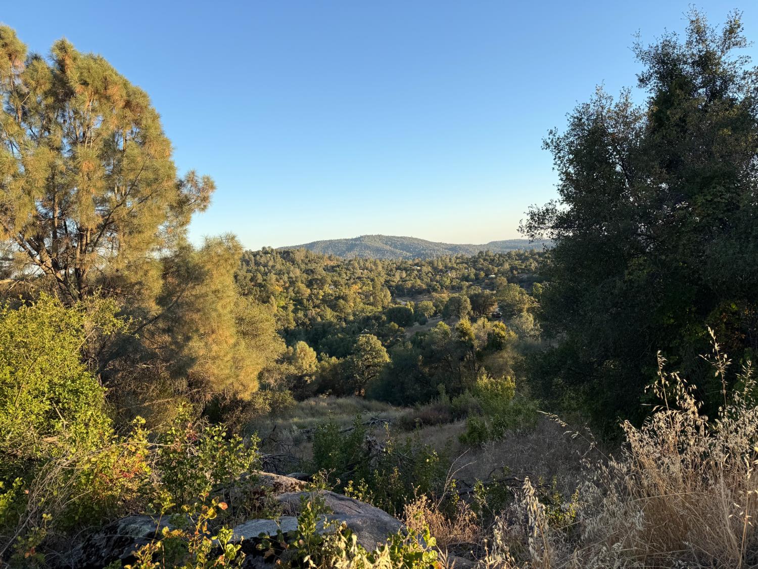 32289 Mountain Ln, North Fork, CA 93643