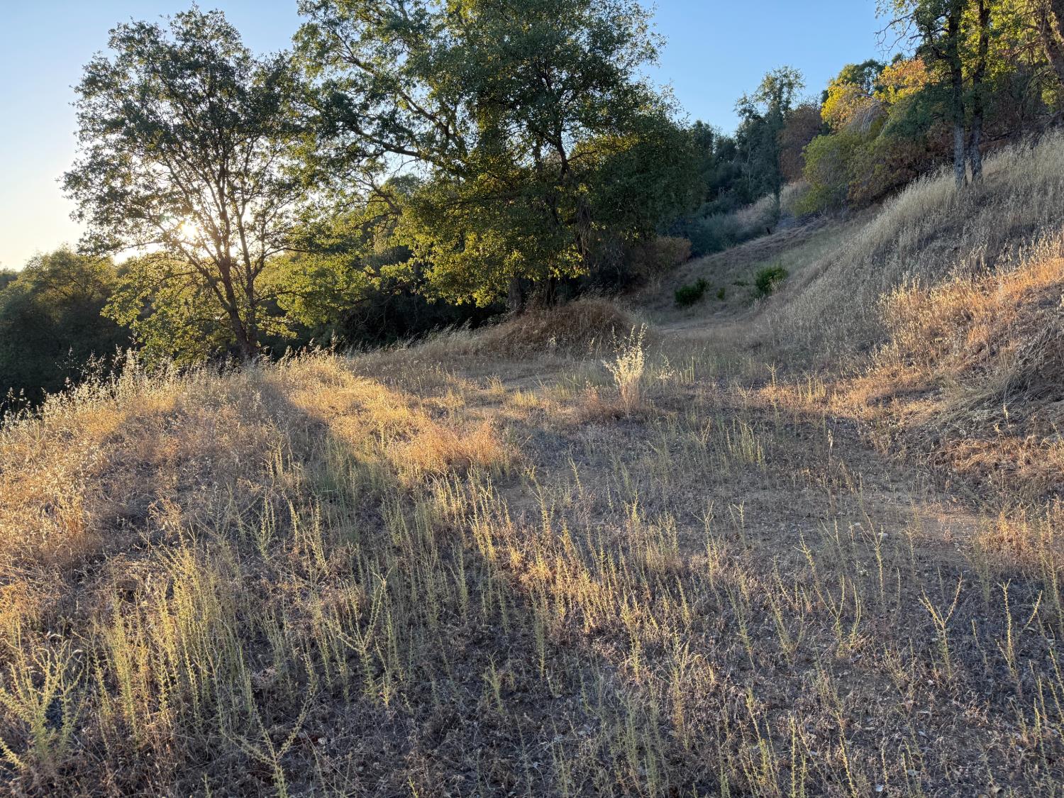 32289 Mountain Ln, North Fork, CA 93643