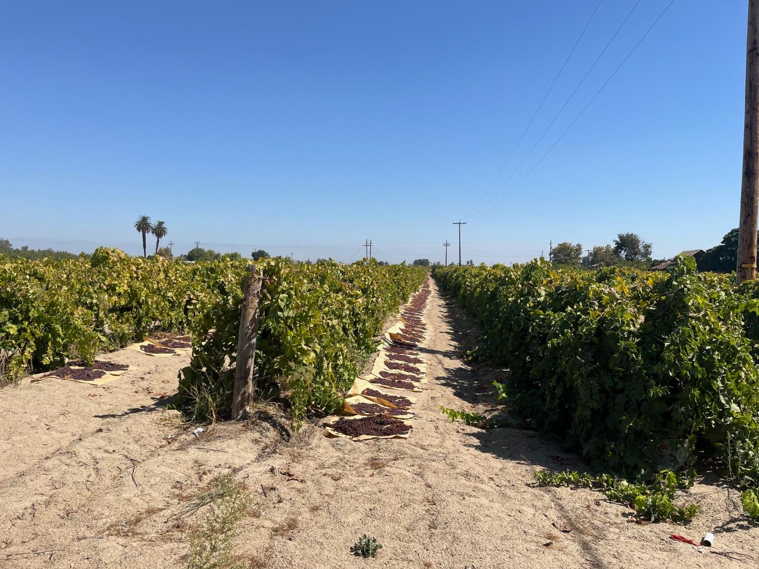 12575 S Academy Ave, Selma, CA 93662