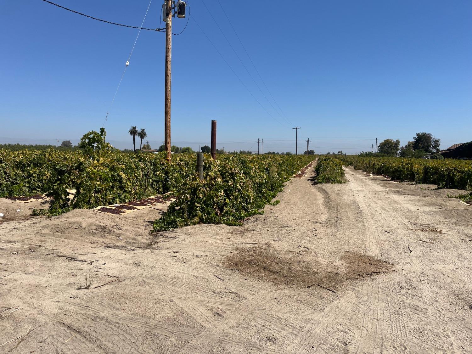 12575 S Academy Ave, Selma, CA 93662