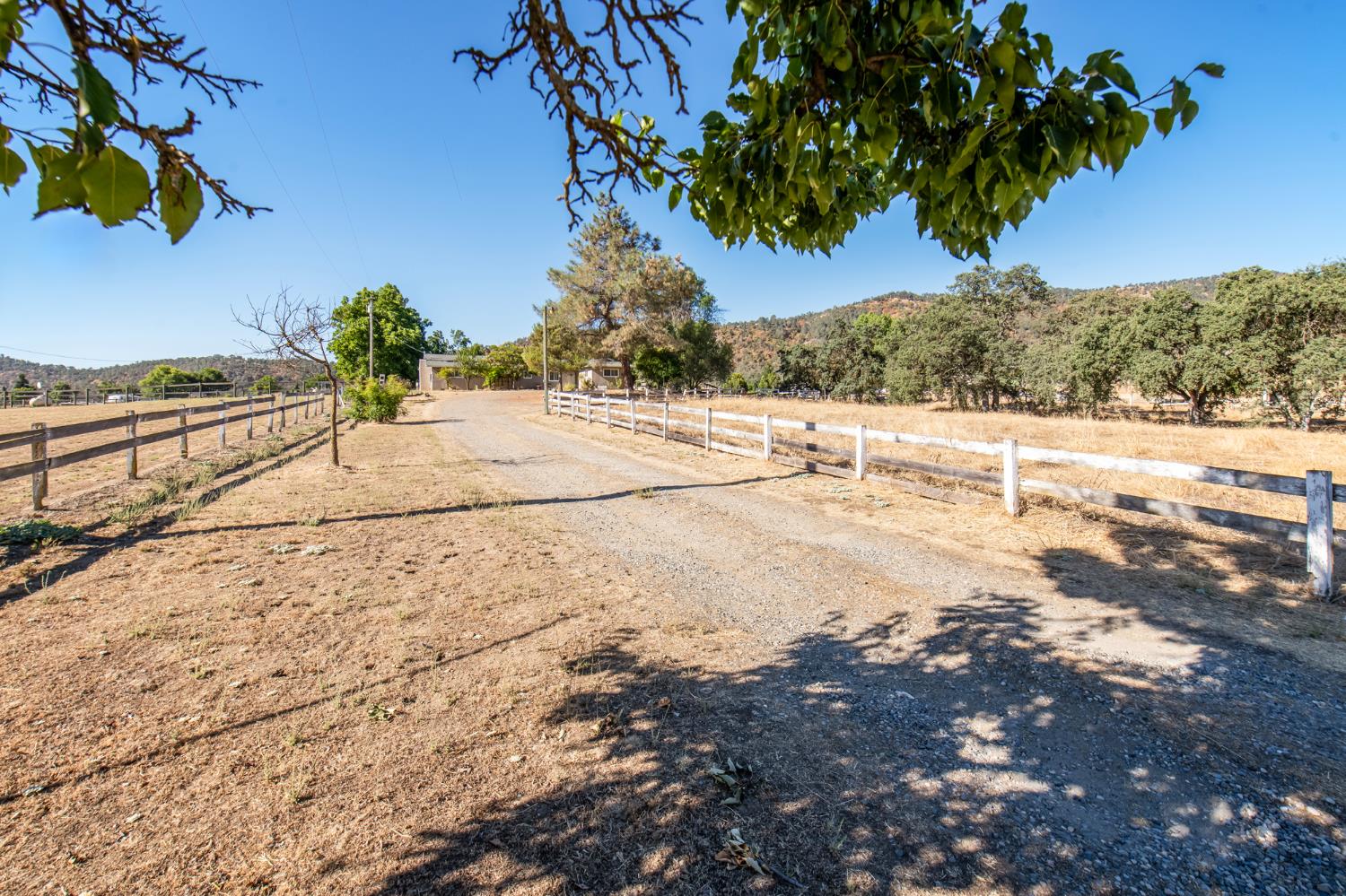 29037 Watercress Rd, Tollhouse, CA 93667