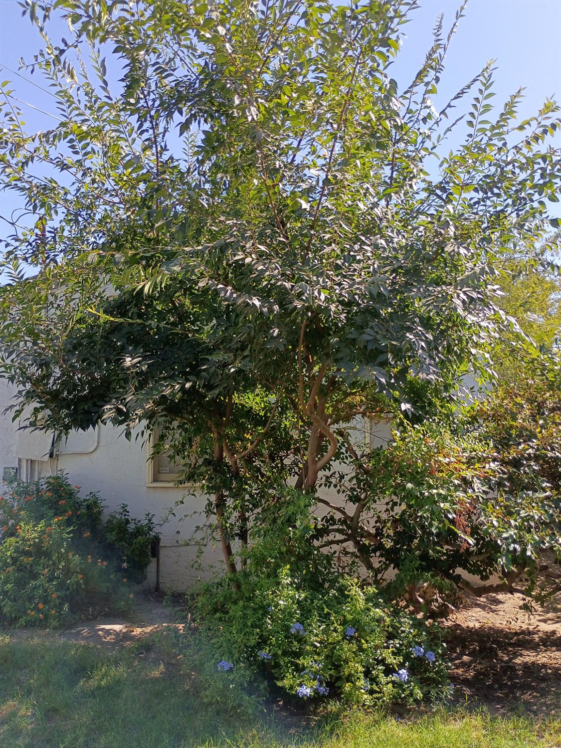 143 E Weldon Ave, Fresno, CA 93704