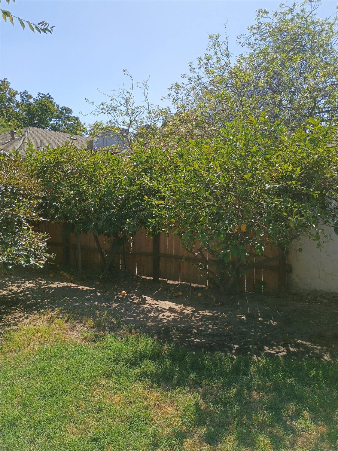 143 E Weldon Ave, Fresno, CA 93704
