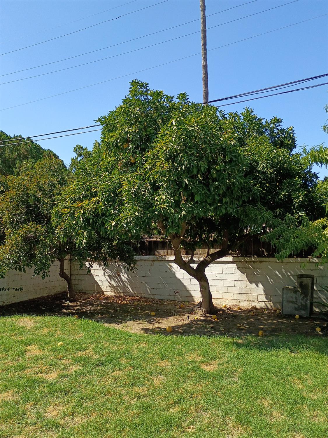 143 E Weldon Ave, Fresno, CA 93704