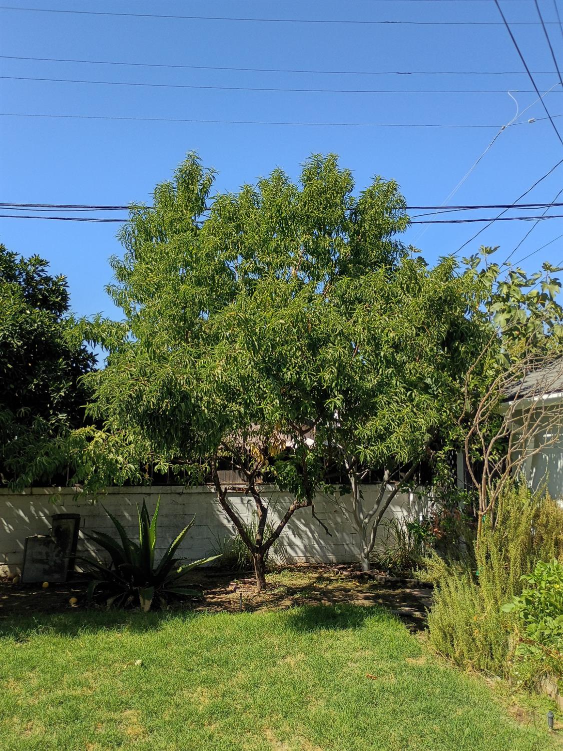 143 E Weldon Ave, Fresno, CA 93704