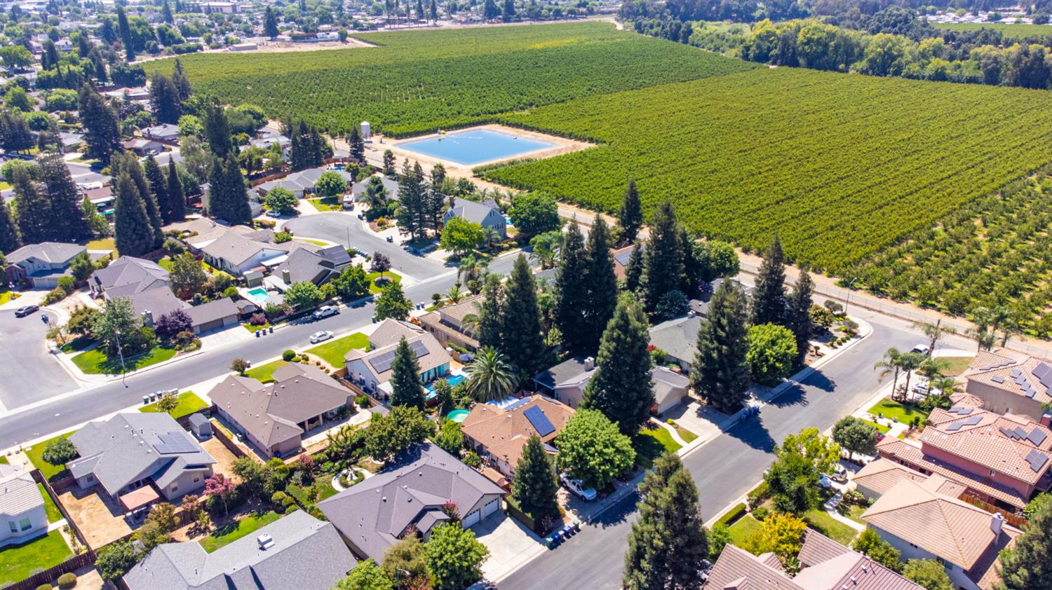 467 S Maple Dr, Reedley, CA 93654