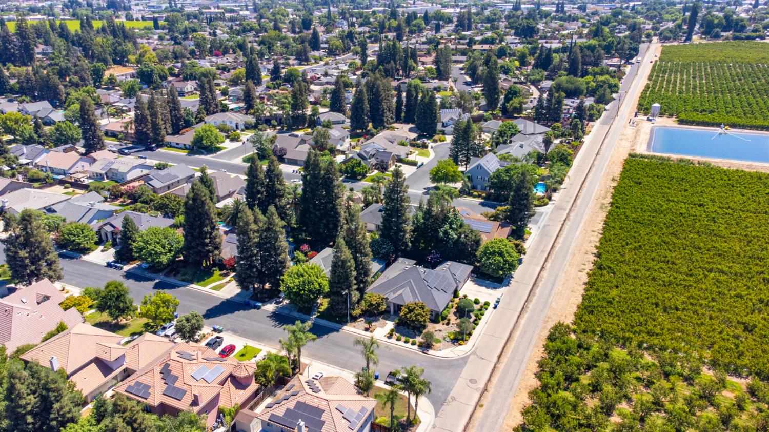 467 S Maple Dr, Reedley, CA 93654