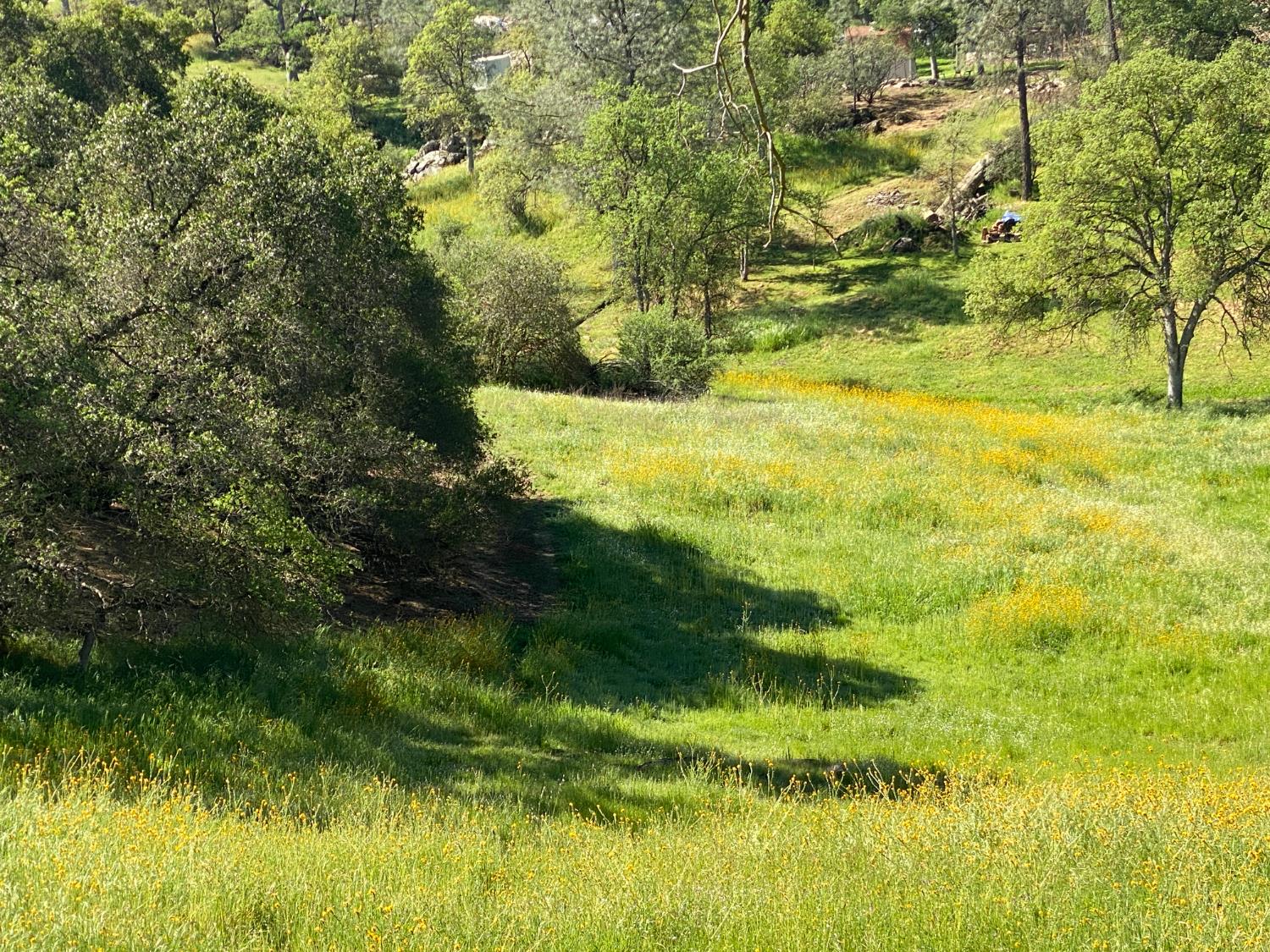 17 Titan Way, Coarsegold, CA 93614