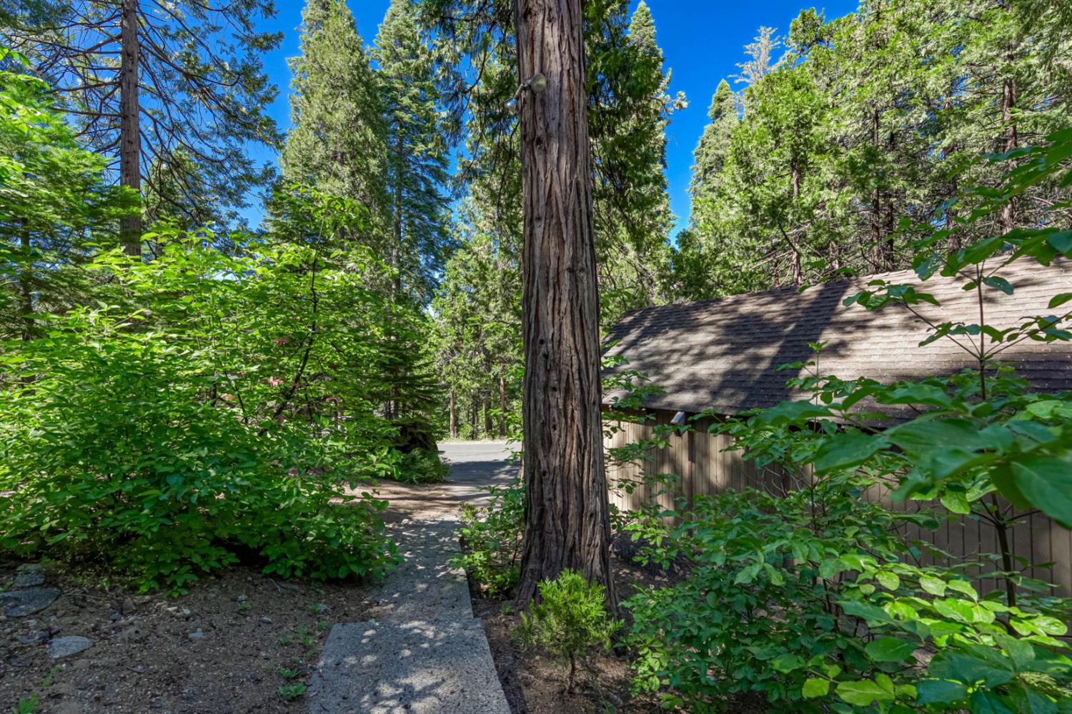 41922 Black Oak Way, Shaver Lake, CA 93664