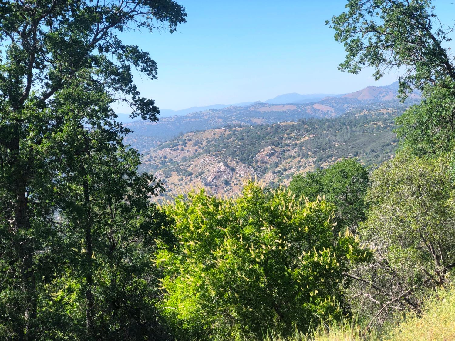 80 City View, Coarsegold, CA 93614